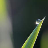 pexels-pixabay-531428.jpg
